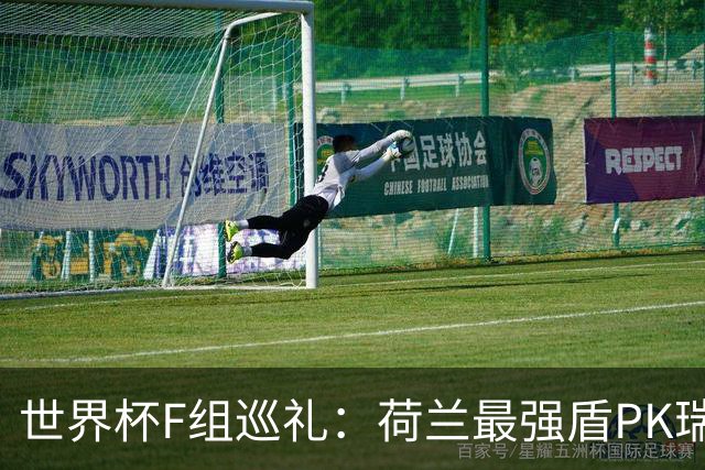 世界杯F组巡礼：荷兰最强盾PK瑞典犀利刀 日本短板明显
